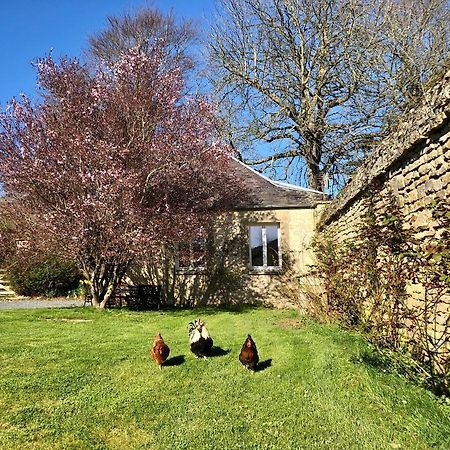 Les Gites De La Mare Saint-Manvieu-Norrey ภายนอก รูปภาพ