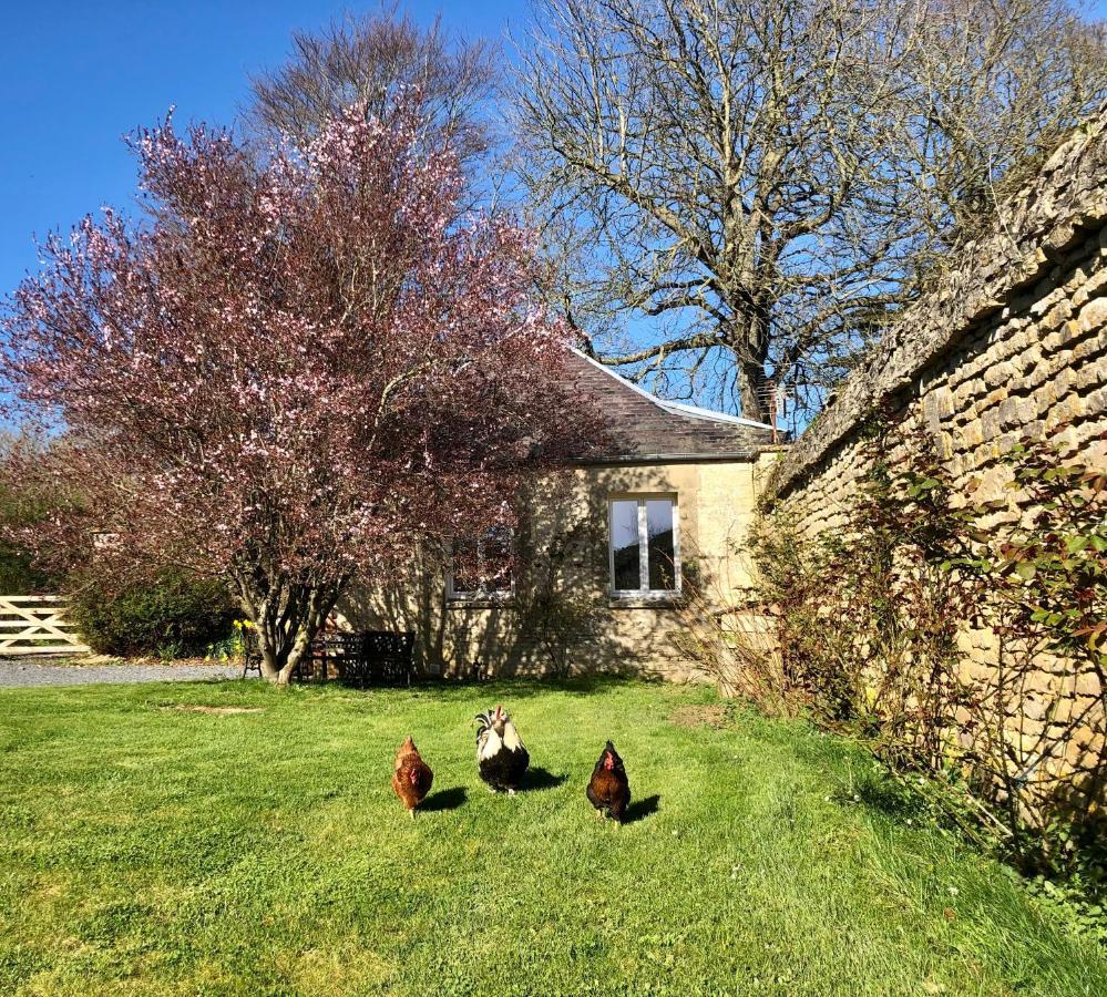 Les Gites De La Mare Saint-Manvieu-Norrey ภายนอก รูปภาพ